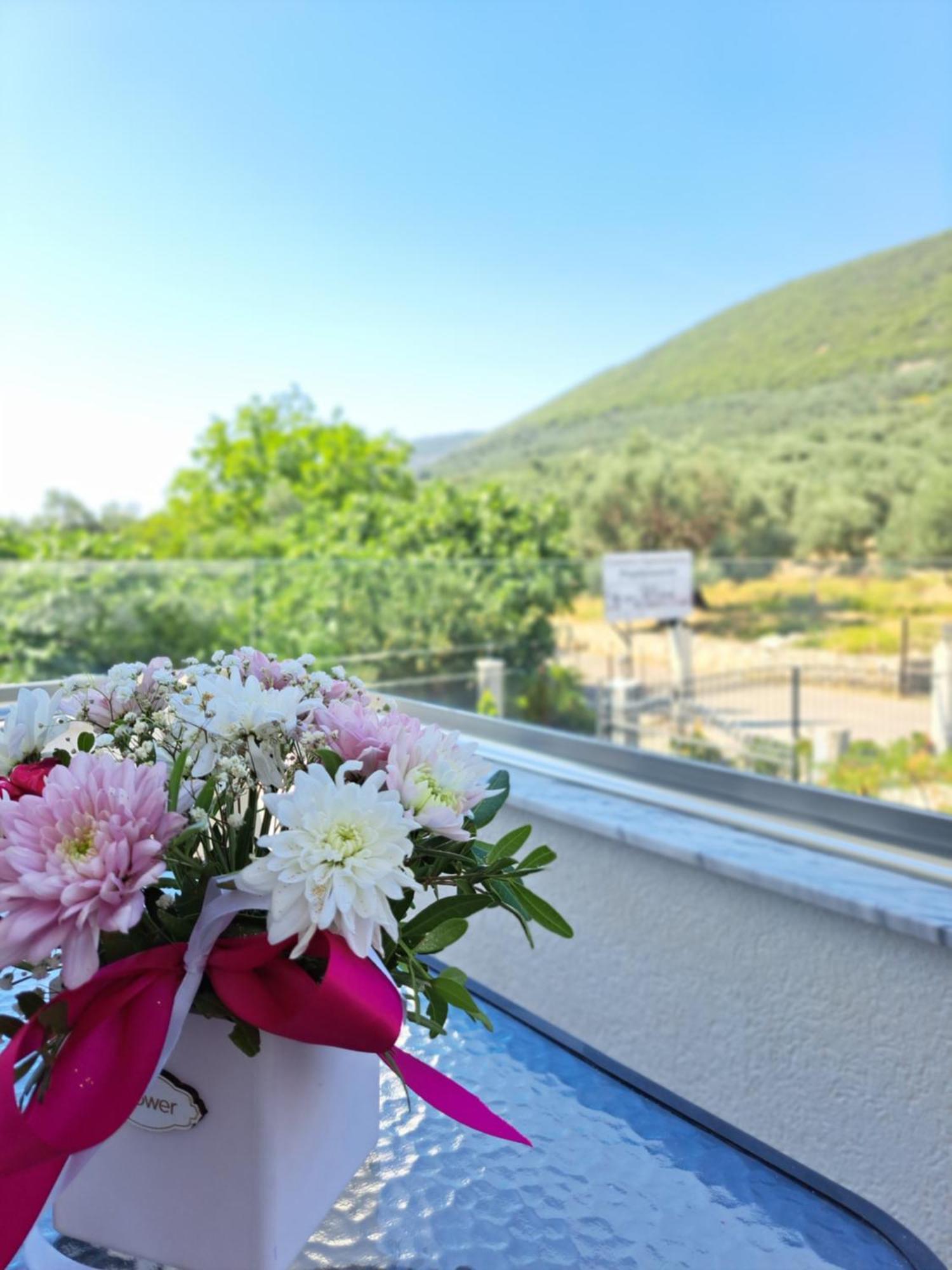 Apartments Pepdjonovic Ulcinj Exterior foto